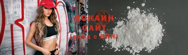 индика Алзамай